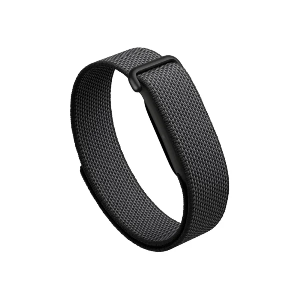 Google Fitbit Air